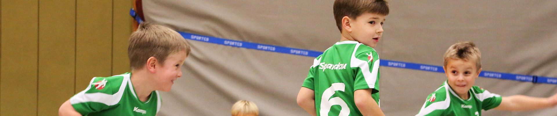 Vfv Spandau Handball Vfv Spandau Handball